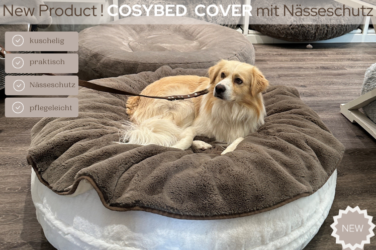 COSYBED Cover